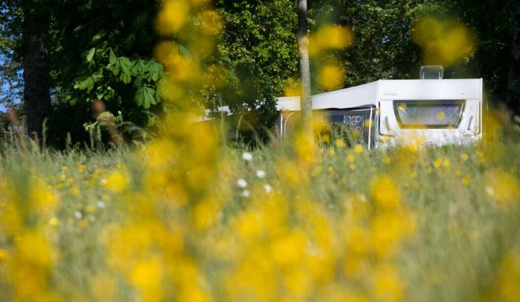 camping dordogne 2018 0005 1024x595