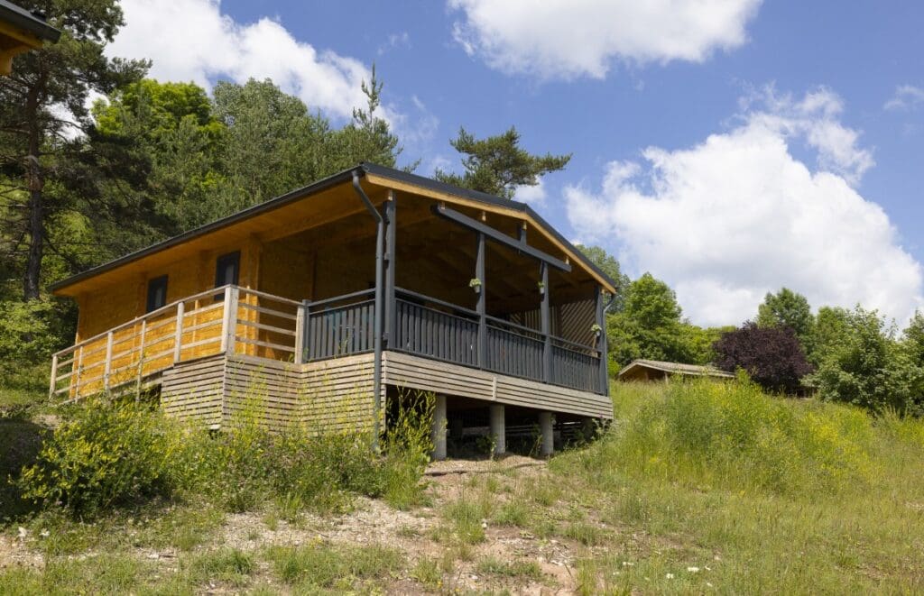 champ chevre 2024 022 Moyenne 1024x661